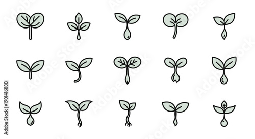 Close-up of Various Sprouting Seedlings Symbolizing Growth and New Beginnings
