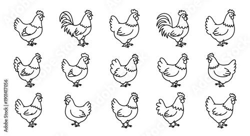 Collection of Cartoon Chicken Line Drawings for Creative Design Projects