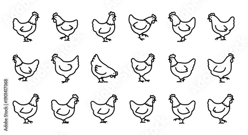 Collection of Cartoon Chicken Line Art Illustrations for Creative Projects
