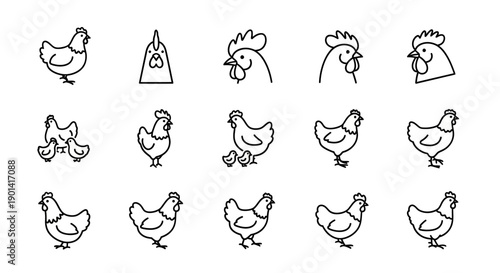 Collection of Cartoon Style Chicken Illustrations for Creative Projects