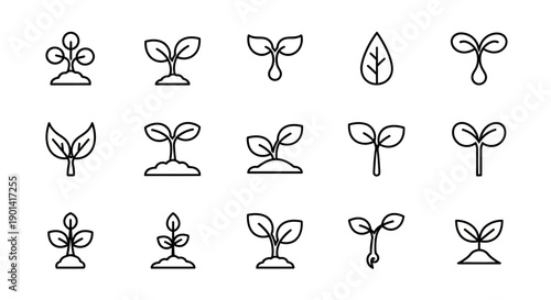 Collection of Simple Illustrations Depicting Various Stages of Plant Growth and Sprouting