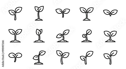 Collection of Simple Illustrations Showing Growth Stages of Seedlings and Young Plants