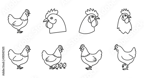 Collection of Hand-Drawn Rooster and Chicken Illustrations for Creative Projects