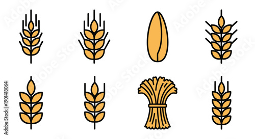 Collection of Wheat and Grain Ear Icons for Agriculture and Food Industry Design