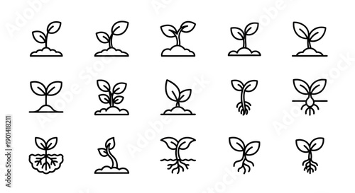 Creative Set of Small Plant Growth Stages Illustrating Botanical Development