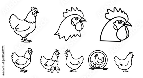 Cute Cartoon Chicken Line Art Set for Food and Farming Concept