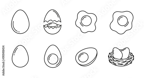 Collection of Simple Eggs and Egg Shells for Cooking and Breakfast Themes