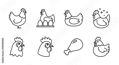 Collection of Simple Hand-Drawn Chick and Hen Line Art Illustrations for Nature and Farm Themes