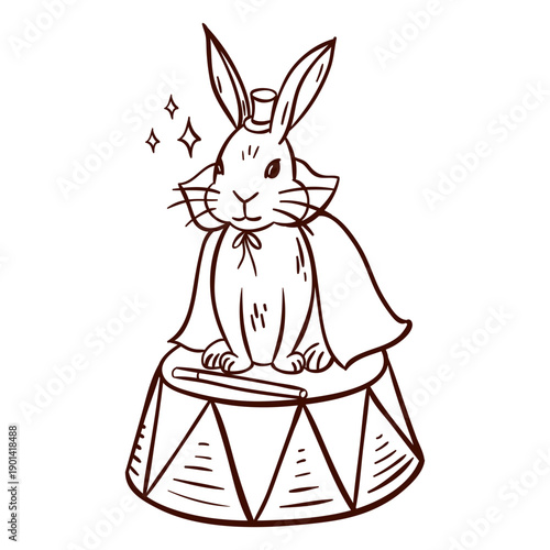 Circus magician rabbit