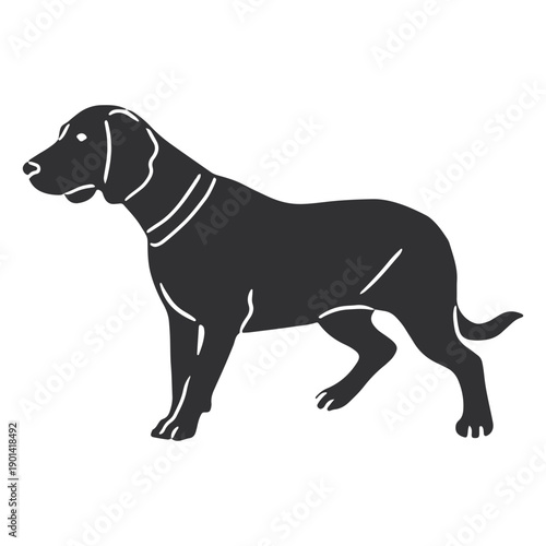 Bavarian mountain hound detailed silhouette