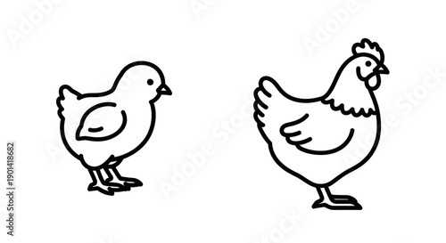 Cute Hand-Drawn Chick and Rooster Illustration for Farm and Poultry Themes