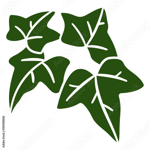 Ivy cut out botanical