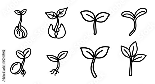 Sequential Growth Stages of Young Plant Sprouts in a Line Diagram