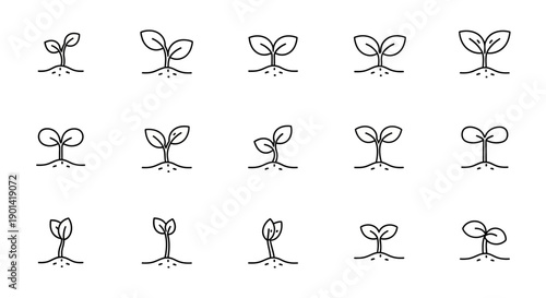 Series of Minimalist Line Art Illustrations Depicting Plant Growth Stages