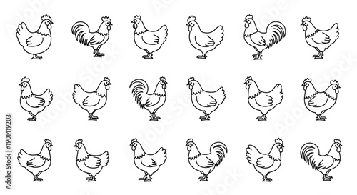 Set of 16 Hand-Drawn Rooster Silhouettes for Creative Design Projects