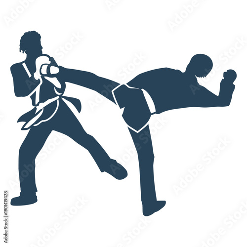 Fight practice karate sport simple people