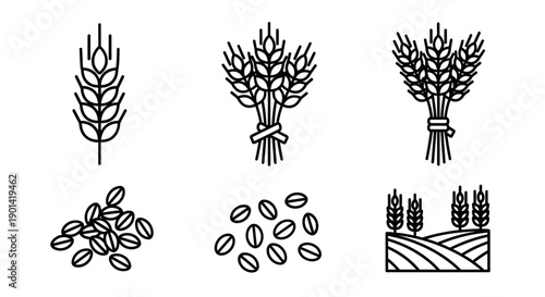 Variety of Abstract Grain and Seed Illustrations for Agricultural Themes
