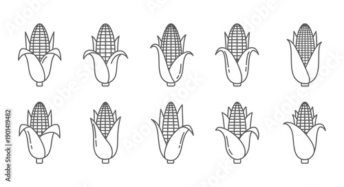 Visualization of Growing Corn Plant Stages in Agricultural Development