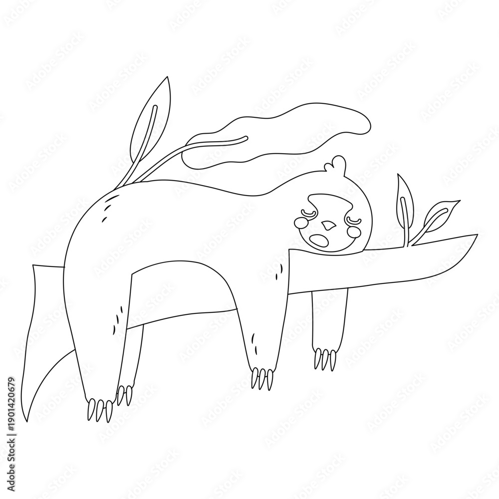 Naklejka premium Sleeping sloth animal