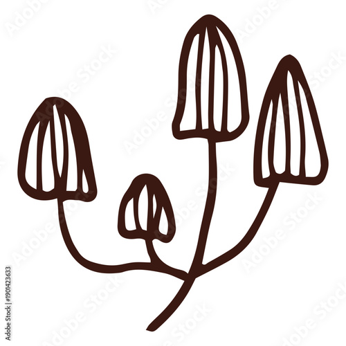 Mushrooms growing stroke