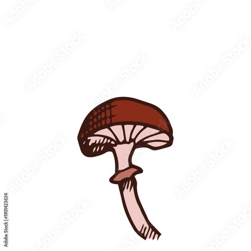 Little brown mushroom