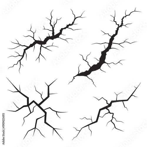 A detailed illustration of four different types of neurons with branching dendrites.