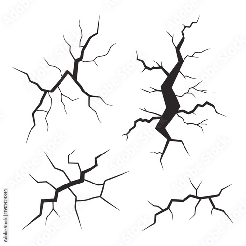Four distinct black and white tree branch illustrations with varying complexity.