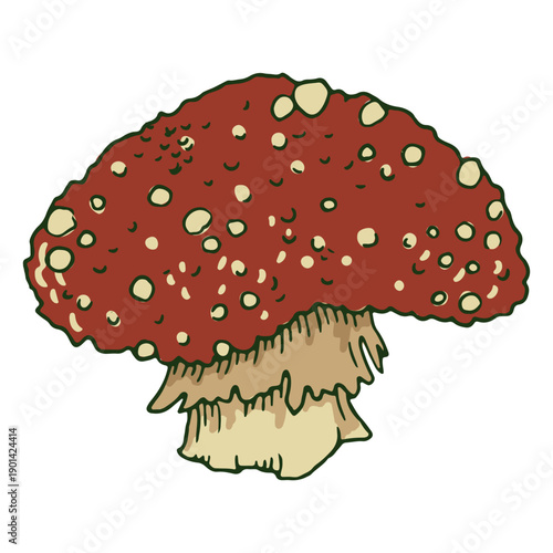 Red big mushroom