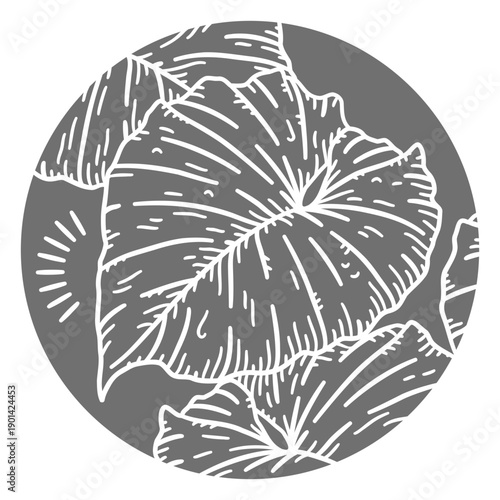 Tropical leaf natural element cut out