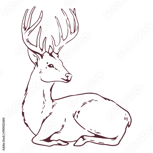 Sat animal deer