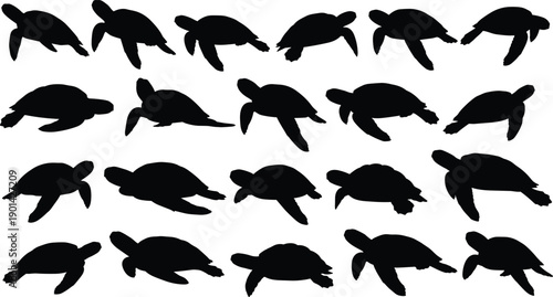 Large Collection of Sea Turtle Silhouettes Featuring Various Swimming and Diving Poses in Black Solid Shapes Isolated on White Background for Marine Life Graphic Design