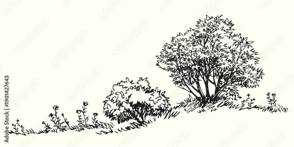 Fototapeta premium Vector drawing. Big green bushes