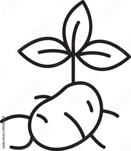 Sprouting from Roots: A minimalist line drawing captures the essence of new life, showing a seed transforming, representing growth. 