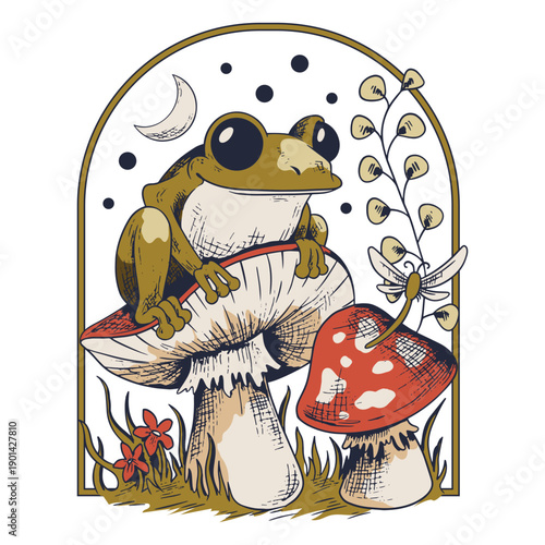 Frog sits on top of a mushroom with a dragonfly