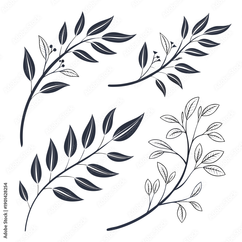 Obraz premium A collection of various leaf illustrations showcasing different leaf shapes and sizes.