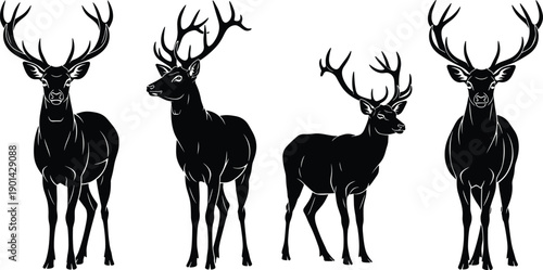 Set of Noble Deer Silhouettes with Large Antlers Featuring Stags and Bucks in Various Standing Poses Isolated on White Background for Wildlife Nature Design Projects