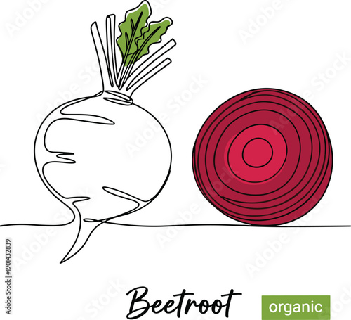Organic beetroot illustration featuring whole root with leaves and sliced cross‑section showing concentric rings, natural vegetabl\