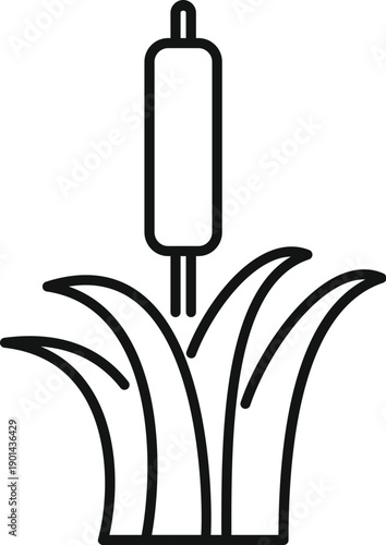 Cattail plant growing in marsh wetland environment, showing natural aquatic flora