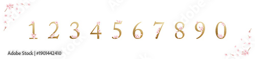 Photos Elegant watercolor cherry blossom number gold and ampersand set, uppercase letters with sakura-300dpi-The font is Adobe Caslon Pro