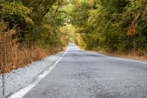 schmale straße gesäumt von bäumen in bulgarien