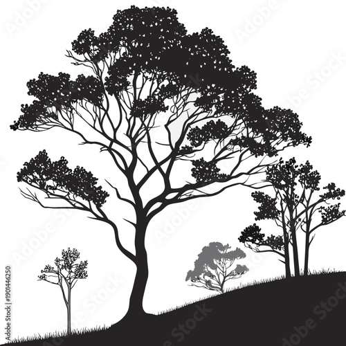 Silhouette of trees on a hillside under a starry night sky