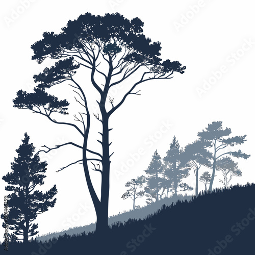 Silhouette of tall trees standing on a hill during sunset.