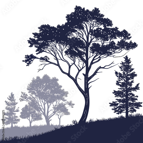 Silhouette of trees on a hilltop at sunset with a serene atmosphere