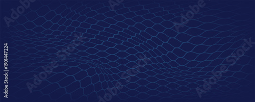  Abstract net background for sports