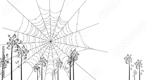 Intricate spider web delicately stretched between slender trees, highlighting natural engineering and ecological