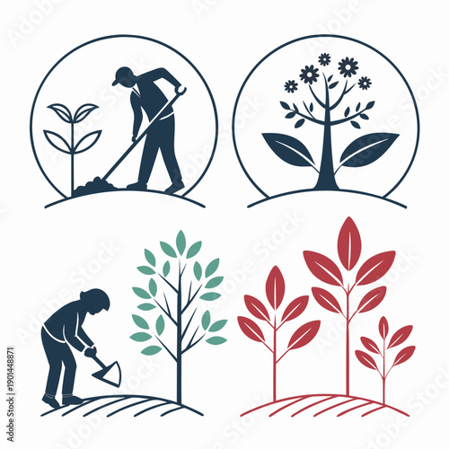 Four stages of plant growth and care depicted in a circular pattern