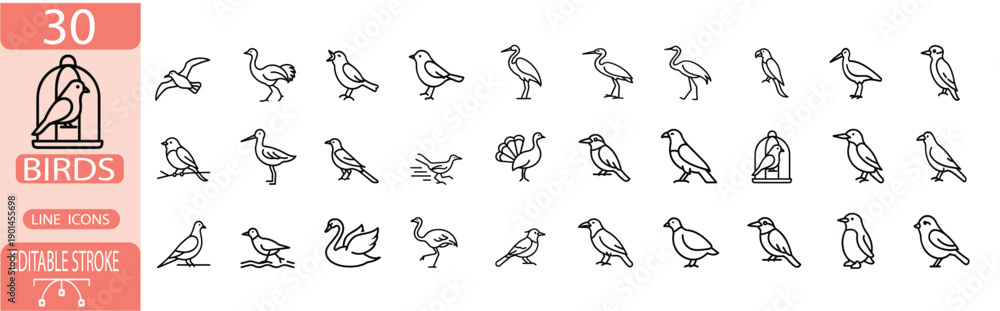 Fototapeta premium Bird black outline icon set, wild and domestic avian species symbol, flying eagle and swimming swan, nature fauna line art vector illustration with editable stroke.