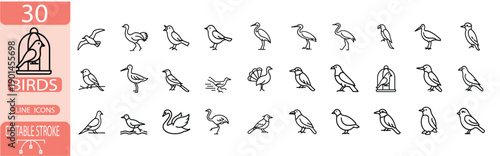 Bird black outline icon set, wild and domestic avian species symbol, flying eagle and swimming swan, nature fauna line art vector illustration with editable stroke.