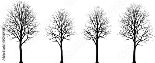 Black silhouette of four bare trees on white background