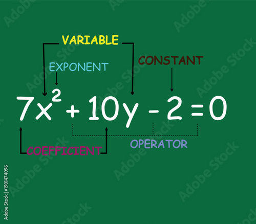 Elements of polynomial algebraic expressions. Vector illustration.